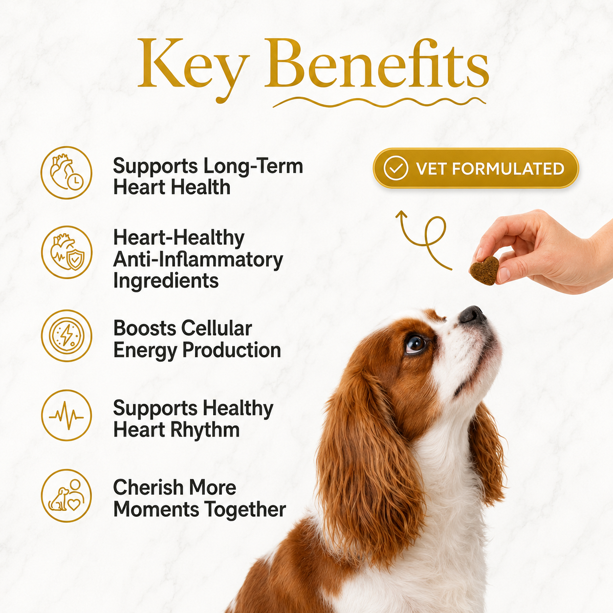 Strata Paws Happy Heart Soft Chews